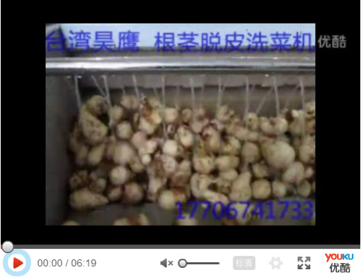 根莖脫皮洗菜機(jī)
